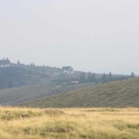 Pensiunea Muntele Alb Horezu Extérieur photo
