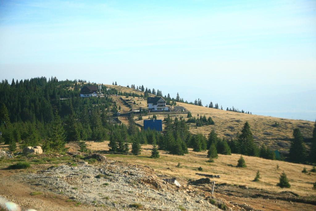 Pensiunea Muntele Alb Horezu Extérieur photo