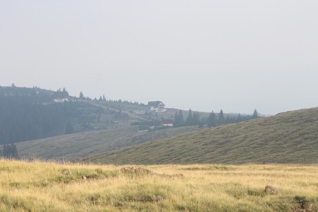 Pensiunea Muntele Alb Horezu Extérieur photo