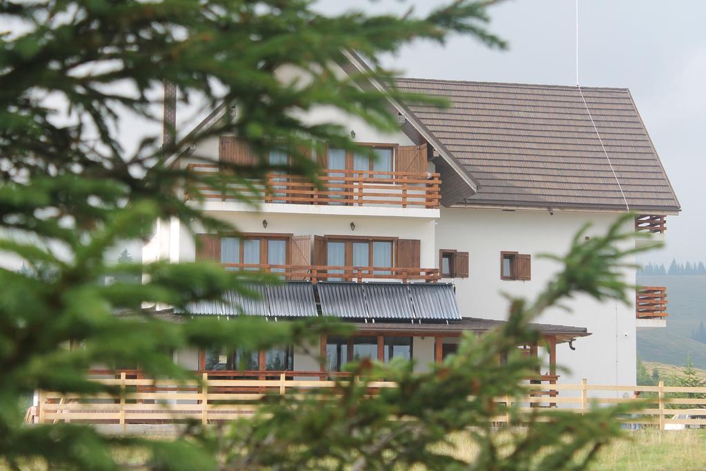 Pensiunea Muntele Alb Horezu Extérieur photo